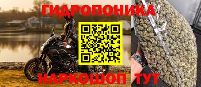 гидропоника Ирбит